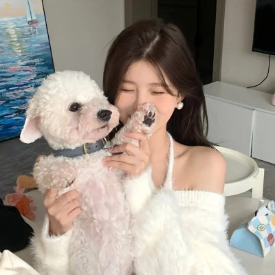 天山的红花